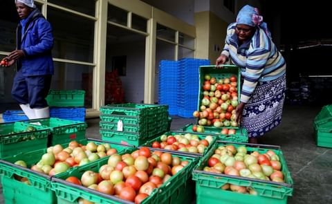 A woman prepares tomatoes for transport at market in Manzini in Swaziland A woman prepares tomatoes for transport at market in Manzini in Swaziland