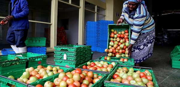 FAO launches the UN’s International Year of Fruits and Vegetables 2021