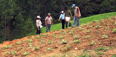 La FAO impulsará el mapeo de nutrientes del suelo en Centroamérica y África subsahariana.