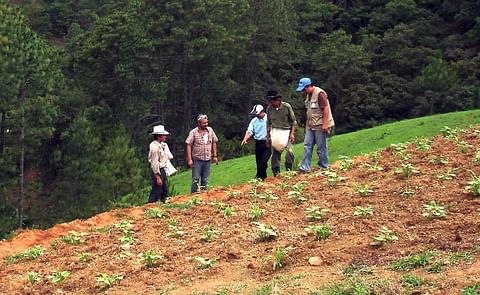 Una contribución de USD 20 millones de parte de los Estados Unidos de América catalizará un uso más eficiente de los fertilizantes. Una contribución de USD 20 millones de parte de los Estados Unidos de América catalizará un uso más eficiente de los fertilizantes.