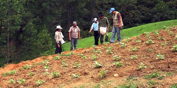 La FAO impulsará el mapeo de nutrientes del suelo en Centroamérica y África subsahariana.