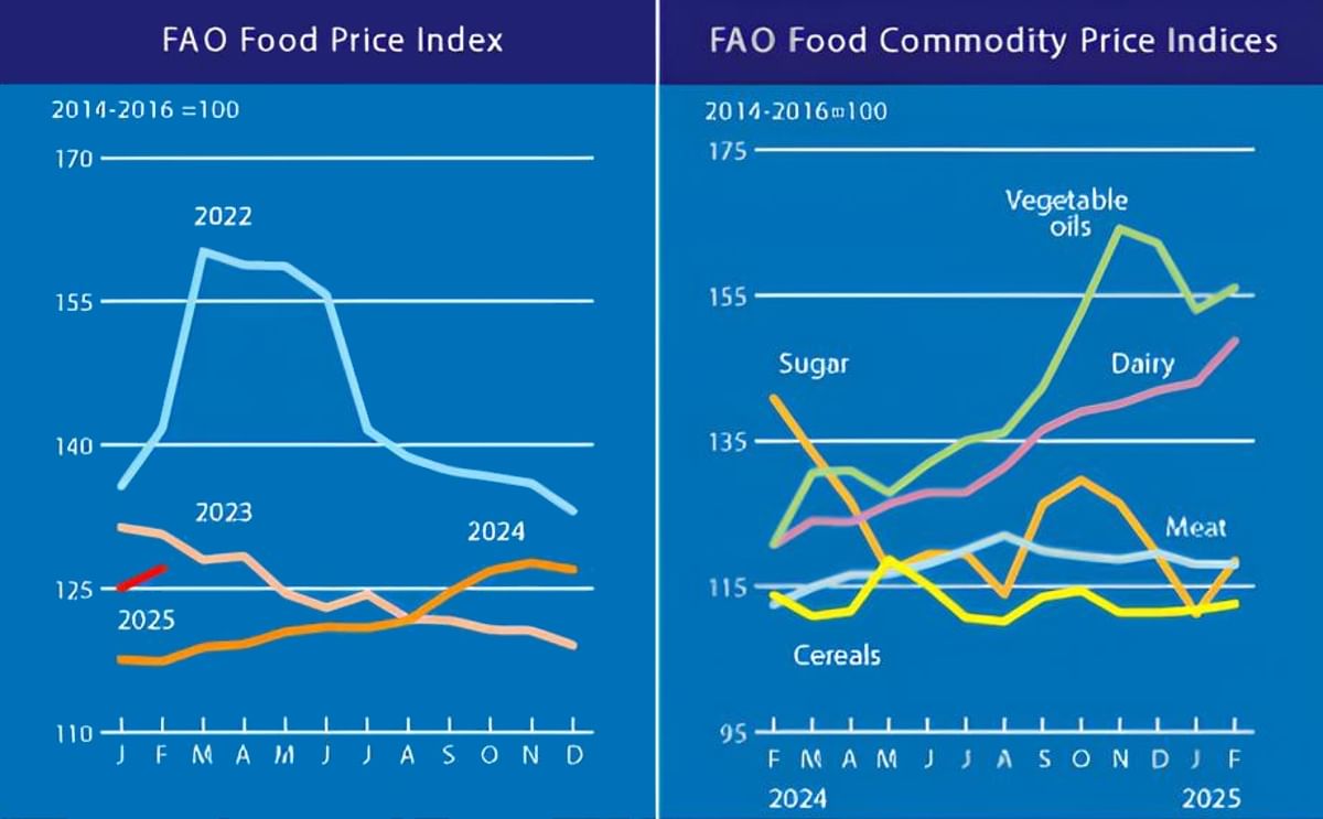 In February 2025, the FAO Food Price Index increased, mainly due to rising prices of sugar, dairy, and vegetable oils. In February 2025, the FAO Food Price Index increased, mainly due to rising prices of sugar, dairy, and vegetable oils.