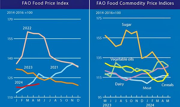 联合国粮农组织食品价格指数5月小幅上涨：谷物与乳制品价格上涨，抵消了食糖与植物油报价的跌幅