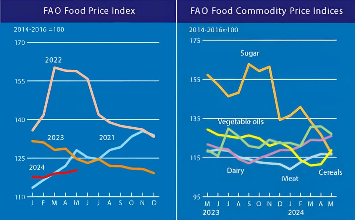 FAO Food Price Index slightly up in May: higher cereal and dairy prices offset easing sugar and vegetable oil quotations 