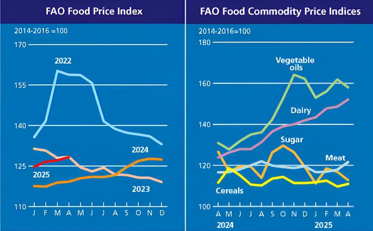 FAO Food Price Index rises in April on higher cereal, dairy and meat prices FAO Food Price Index rises in April on higher cereal, dairy and meat prices