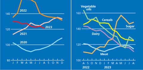 FAO Food Price Index drops in August, reversing the slight rebound of the previous month