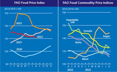 FAO Food Price Index drops in August, reversing the slight rebound of the previous month FAO Food Price Index drops in August, reversing the slight rebound of the previous month