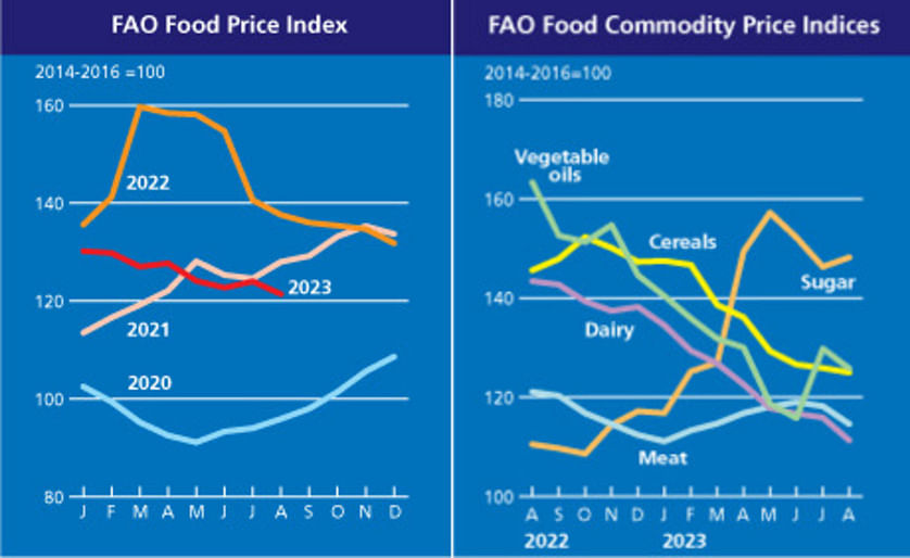 FAO Food Price Index drops in August, reversing the slight rebound of the previous month