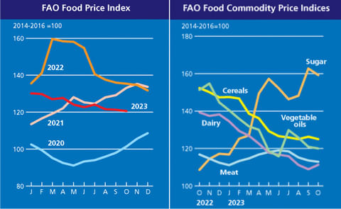 FAO Food Price Index continues to drop, but at a slower pace FAO Food Price Index continues to drop, but at a slower pace