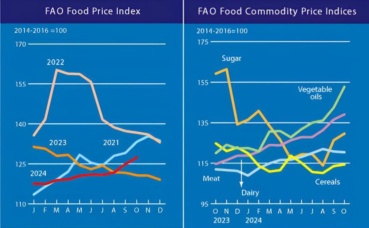 Higher quotations across a range of commodities push the FAO Food Price Index to its highest level in 18 months Higher quotations across a range of commodities push the FAO Food Price Index to its highest level in 18 months