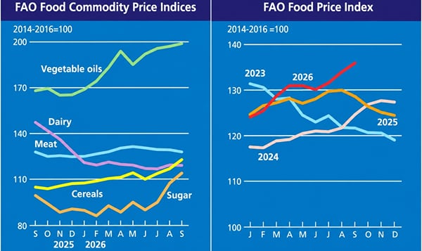 FAO Oct 2026 FAO Oct 2026