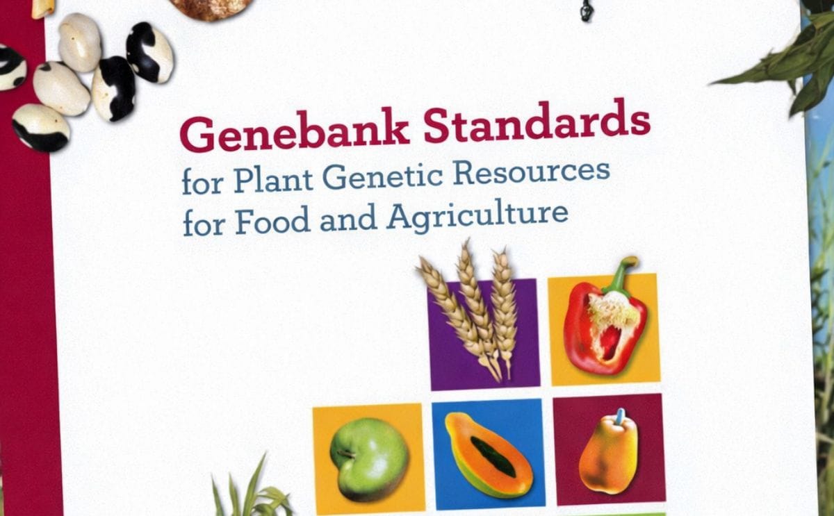 La FAO lanza nuevas normas para los bancos de germoplasma