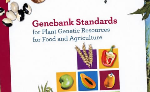 La FAO lanza nuevas normas para los bancos de germoplasma La FAO lanza nuevas normas para los bancos de germoplasma