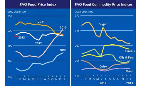 The FAO Food Price Index remaining steady The FAO Food Price Index remaining steady