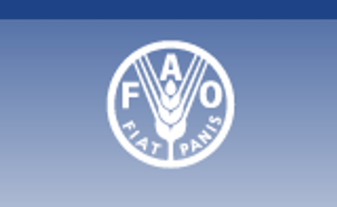 FAO Food Price Index for March 2011 eases slightly FAO Food Price Index for March 2011 eases slightly
