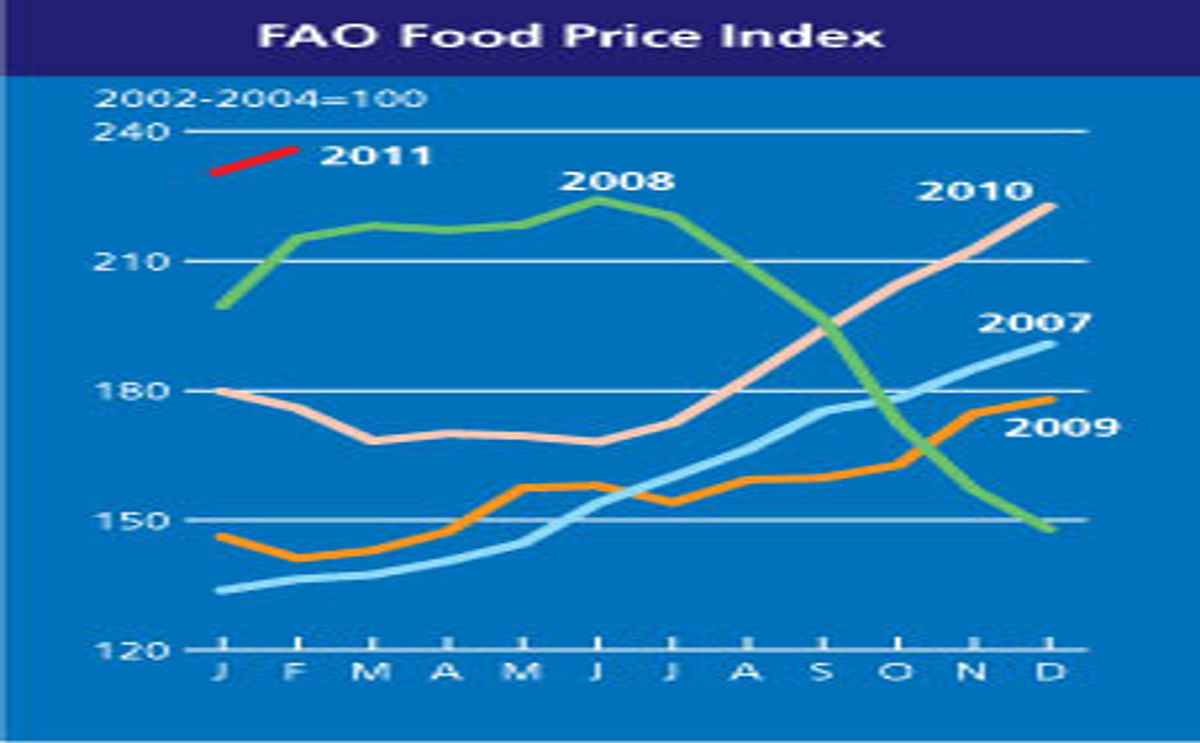 World Food Prices reach a new high in February