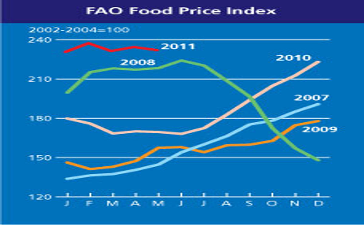 Global food prices stay high in June
