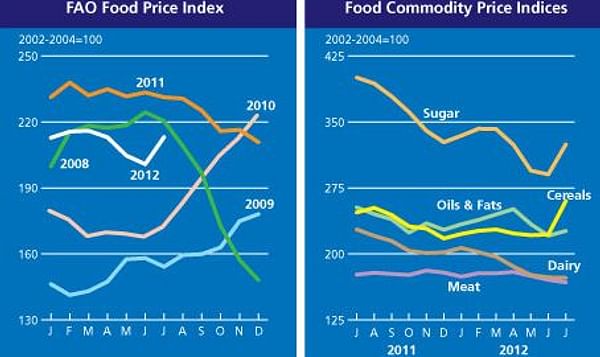  FAO Food price index July 2012