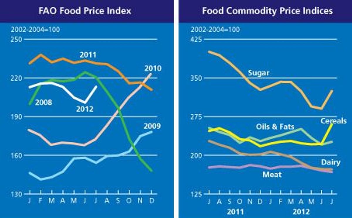FAO Food Price index up on unfavourable weather