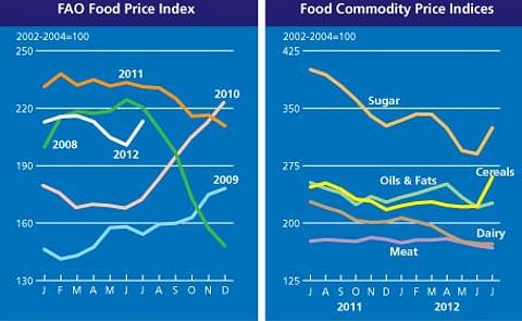 FAO Food Price index up on unfavourable weather FAO Food Price index up on unfavourable weather