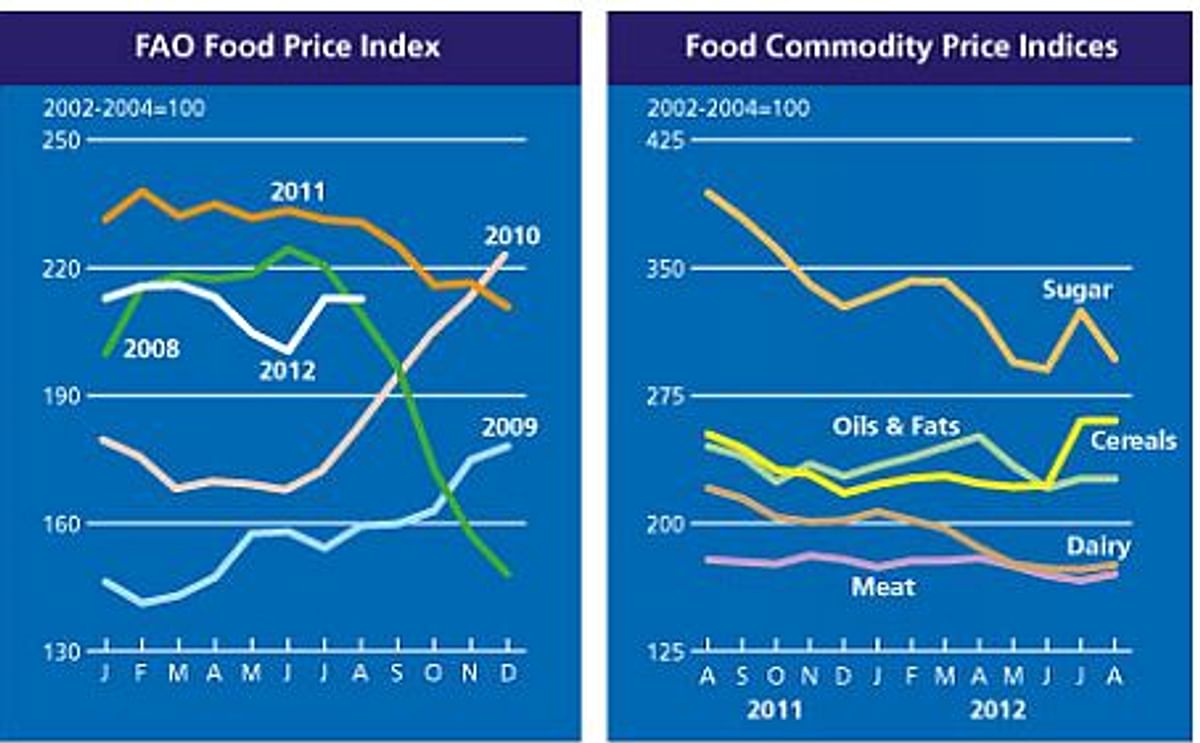 No increase in world food prices in August