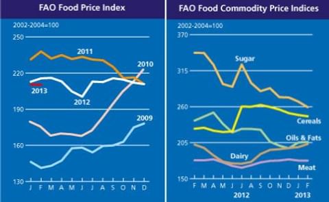 World Food prices steady in February World Food prices steady in February