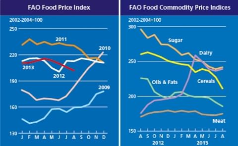 World Food Prices continue to fall World Food Prices continue to fall