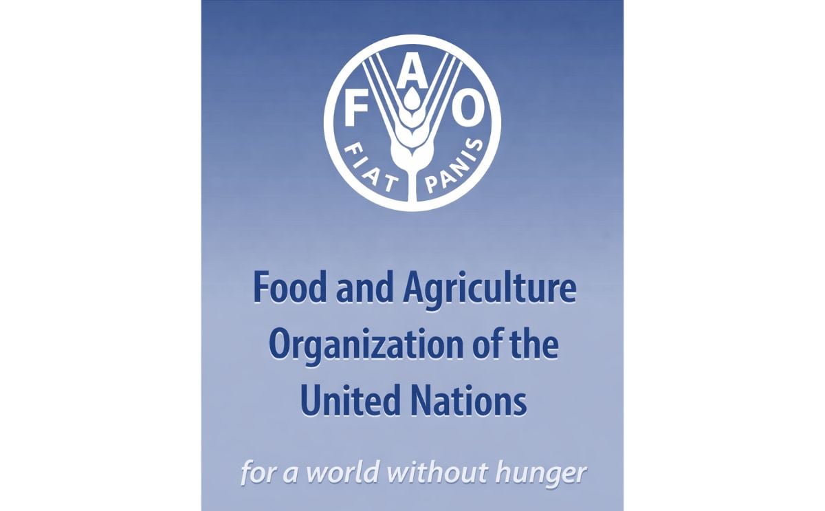FAO FAO