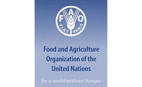 Global Food Prices at Record High Global Food Prices at Record High