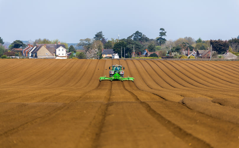Preparing the Perfect Soil Bed for Healthy Potato Growth Traditional ox-drawn tillage for soil preparation in potato farming