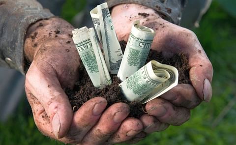 The National Potato Council Urges SBA to Include Ag Businesses in Disaster Loan Program The National Potato Council Urges SBA to Include Ag Businesses in Disaster Loan Program