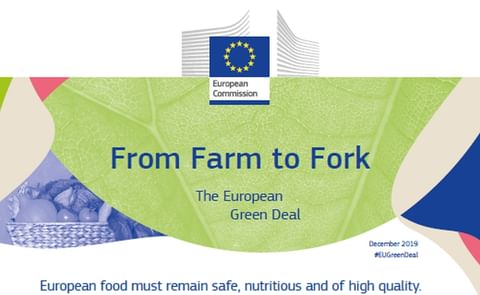 Starch Europe Welcomes the Publication of the EU Farm to Fork Strategy
Starch Europe Welcomes the Publication of the EU Farm to Fork Strategy