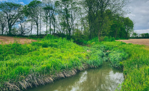 Farm tool expanded to support farmers' impact on water quality Farm tool expanded to support farmers' impact on water quality