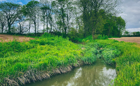 Farm tool expanded to support farmers' impact on water quality Farm tool expanded to support farmers' impact on water quality