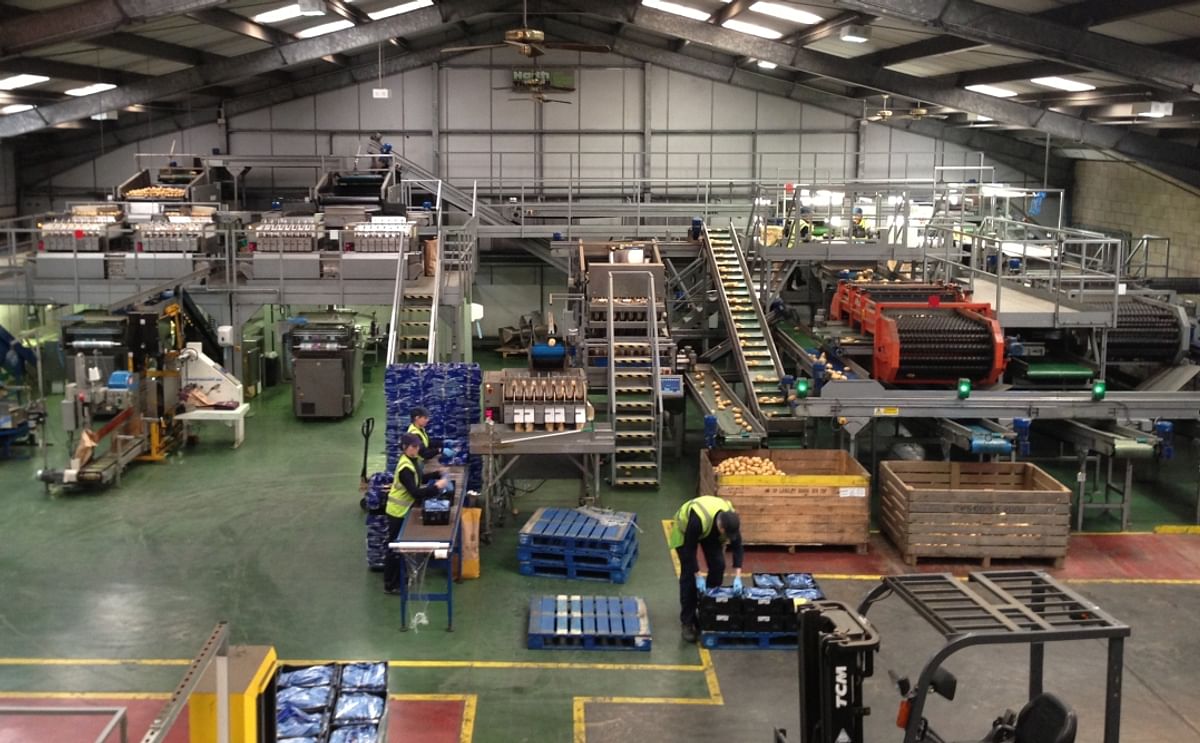 Farmcare (UK) says jobs are at risk at its Carnoustie potato packing plant Farmcare (UK) says jobs are at risk at its Carnoustie potato packing plant