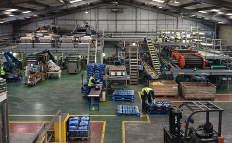 Farmcare offers this picture on its website under "View farm" for its Carnoustie packhouse. However, we found the same picture is offered for Farmcare's Langley Brook location and given the picture's name we assume it is Langley Brook. Which leaves Farm Farmcare offers this picture on its website under "View farm" for its Carnoustie packhouse. However, we found the same picture is offered for Farmcare's Langley Brook location and given the picture's name we assume it is Langley Brook. Which leaves Farm