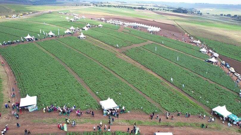 Thousands of farmers attend the 2024 FreshCrop Ltd. Farmers Field Day—one of the region’s largest potato demonstration events.