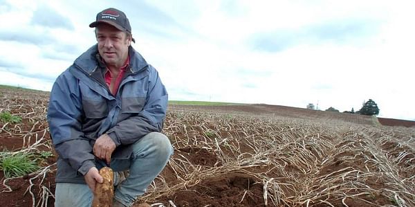Farmers fight for potato pay as Simplot records $62m profit
