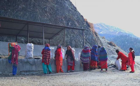Farmers in Jumla find stable income in potato farming Farmers in Jumla find stable income in potato farming