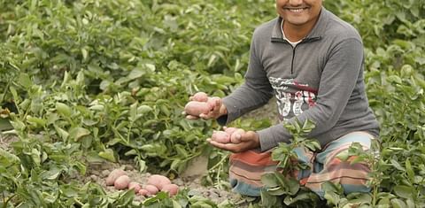 Next Generation varieties in Bangladesh