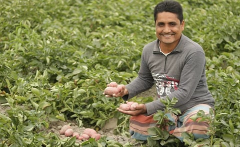 Next Generation varieties in Bangladesh Next Generation varieties in Bangladesh