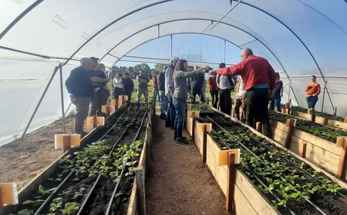 Farmers visiting the trial at the experimental station