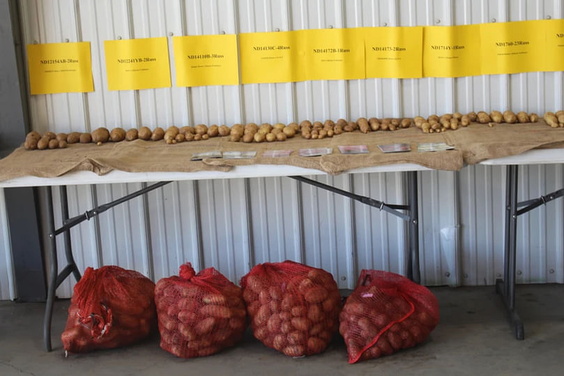 Farmers who attended Northern Plains Potato Growers Association field day at Hoverson Farms near Larimore, North Dakota, heard presentations on varieties and research topics.
