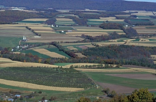 Not all farmland in the North East US is devoted to food production Not all farmland in the North East US is devoted to food production