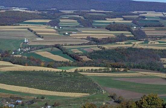 Not all farmland in the North East US is devoted to food production