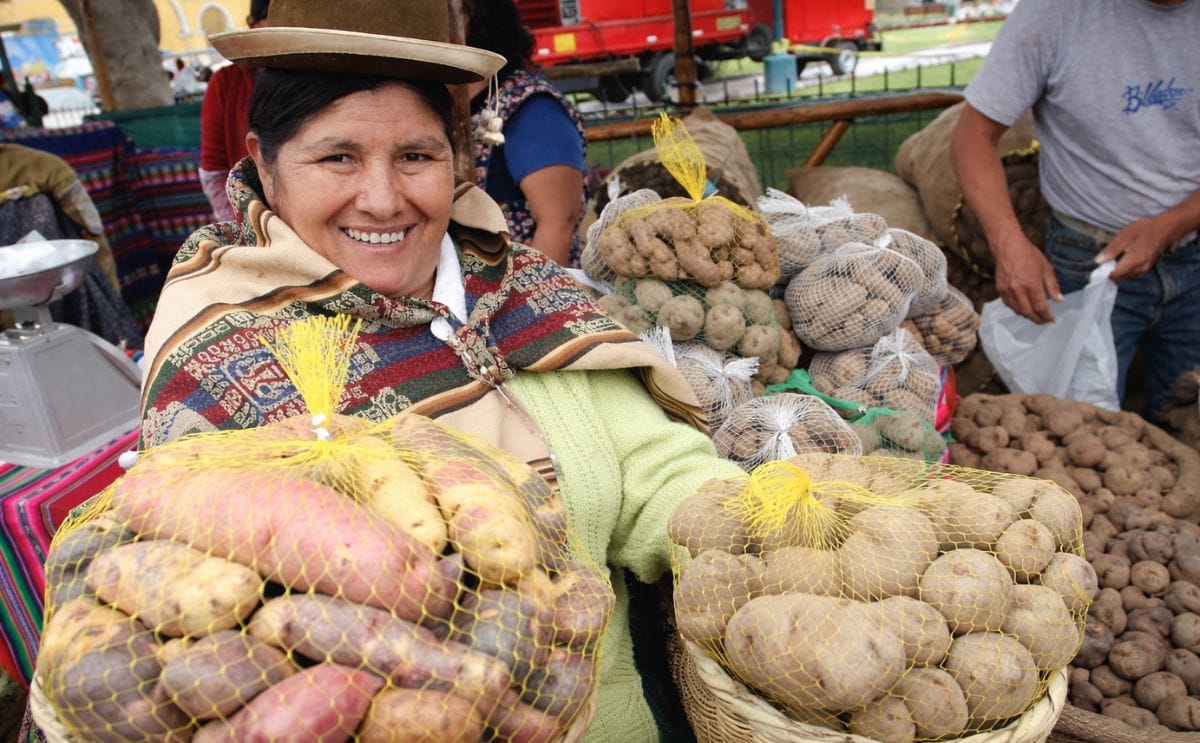 Perú es el primer productor de papa en Latinoamérica Perú es el primer productor de papa en Latinoamérica