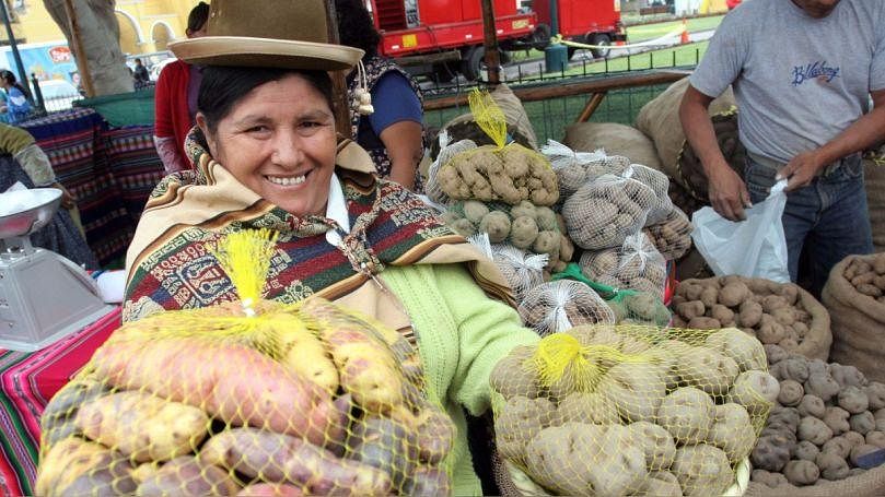 Per Es El Primer Productor De Papa En Latinoam Rica Potatopro