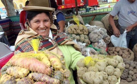 Perú es el primer productor de papa en Latinoamérica Perú es el primer productor de papa en Latinoamérica