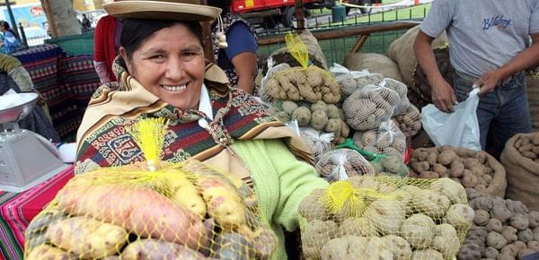 Perú es el primer productor de papa en Latinoamérica