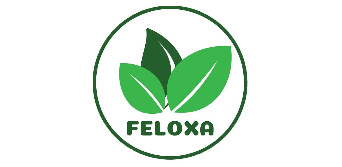 Feloxa Agro Food Company
